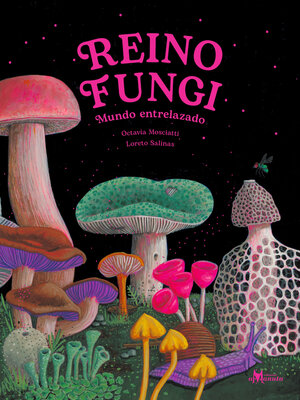 cover image of Reino Fungi